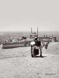 صور مصر عبر الزمن 45 صورة مميزة لمصر من سنة 1800 لـ 2013 egypt egypt history cairo egypt