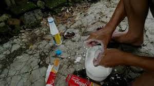 Untuk skema garis lurus dipotong. Vidio Cara Membuat Pulut Burung Dari Lem Tikus Dan Getah Karet Youtube