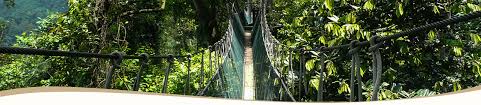 Kuala tahan, taman negara national park, och 1 till. Canopy Walkway Taman Negara
