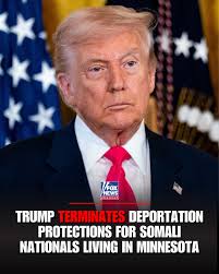 EFFECTIVE IMMEDIATELY': President Trump revoked deportation protections for  Somali immigrants in Minnesota, saying in a post, "Somali gangs are  terrorizing the people of that great State, and BILLIONS of Dollars are  missing.