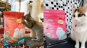 Empat kelemahan pembelian dalam talian. Jimatkan Masa Smartheart Kini Tawarkan Pembelian Makanan Si Comel Secara Dalam Talian