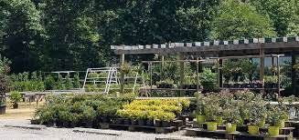 Maybe you would like to learn more about one of these? Plant Nursery And Garden Center Serving The Williamsburg Area