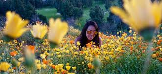 Maybe you would like to learn more about one of these? Wildflowers In Southern California 2019 Where To Visit Spring Blooms
