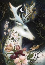 Moon Glow by Amanda Clark