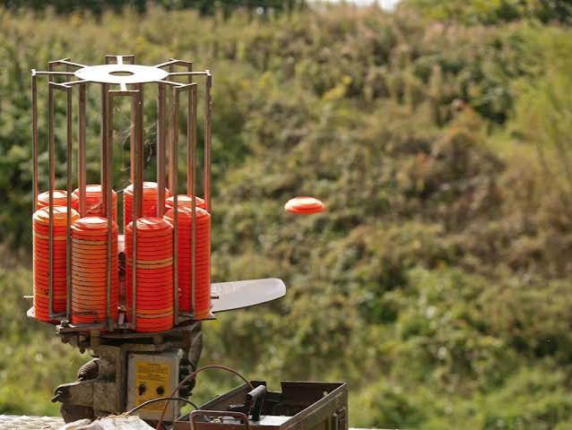 How to clay pigeon shoot: A beginner's guide | SportsCover Direct