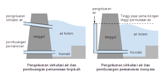 Biasanya binatang yang satu ini disimpan di dalam aquarium kaca atau. Cara Membuat Kolam Ikan Alam Tani