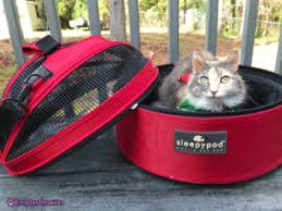 We are here to help! Why We Love The Sleepypod Mobile Pet Bed A Holiday Giveaway Kitty Cat Chronicles