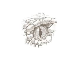 Snake tattoo on arm mind blowing snake tattoo elegant snake tattoos Snake Eyes Tattoo Eye Tattoo Elder Scrolls Art Snake Eyes Piercing