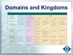 Taxonomy Sc 912 L 15 6 Discuss Distinguishing Characteristics Of The Domains And Kingdoms Of Living Organisms To The Teacher Source Ppt Video Online Download