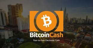 Bitwise's plan to become the s&p 500 of the bitcoin space. Bitcoin Cash Hardfork Latest Coingeek Boss Calvin Ayre To Work On Bitcoin Cash Abc If It Wins The Bch Hash War Coin News Telegraph