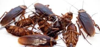 Epingle Sur Maison Astuces