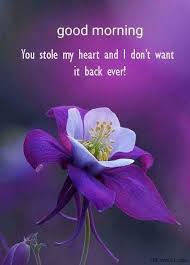 Good morning flowers quotes images. 34 Good Morning Flowers Images Slicontrol Com