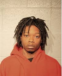 ᐅ Illinois Criminal Records 2009-2025