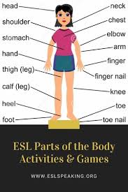 This lesson will cover english vocabulary for the human body parts as follows one of the two soft parts around your mouth where your skin is redder or darker. Esl Body Parts Games And Activities Esl Speaking