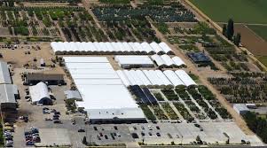 Sign up for our newsletter to receive updates on new inventory and featured plants. J J Garden Center J J Nursery