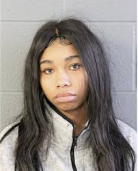 ᐅ Illinois Criminal Records 2009-2026