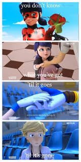 Just Make Your Freaking Move Already Miraculous Ladybug Anime Miraculous Ladybug Memes Miraculous Ladybug Oc