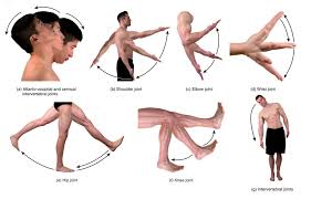 Today the use of television and movies is as common as breathing, but it wasn't always that way. Body Movements Diagram Quizlet