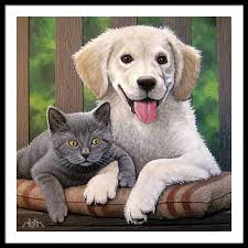 Cat Framed Art Prints by Don Roth