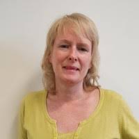 5 "Vanessa Dolphin" profiles