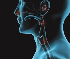 Ear nose & throat we were referred to dr dean in fort worth texas by a doctor in houston, texas. Home Ent Health