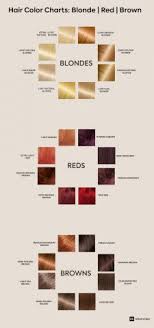 3d illustration and hair dye chart. How To Pick The Best Hair Colour From The Hair Colour Chart By The Urban Guide Urbanclap Editorial Medium