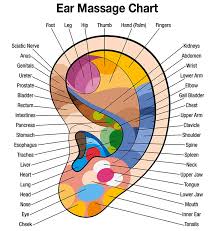 Free Downloadable Ear Massage Chart For Self Healing