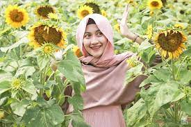 Beli produk biji bunga matahari berkualitas dengan harga murah dari berbagai pelapak di indonesia. Wisata Bunga Matahari Di Jawa Timur Tak Perlu Jauh Jauh Ke Saraburi Thailand Portal Wanita Muda