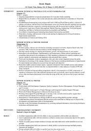 top resume writing service best