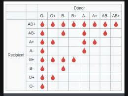 blood donor recipient compatibility chart 9gag