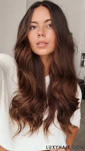 20 Classic Chocolate Brown Clip Ins 20 160g Brown Blonde Hair Brown Hair With Highlights Brown Hair Colors