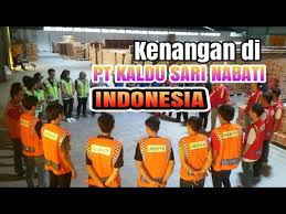 Hasil kami menunjukkan bahwa diet sehat yang kaya akan makanan padat nutrisi dapat dipertimbangkan. Pt Kaldu Sari Nabati Indonesia Di Majalengka Youtube