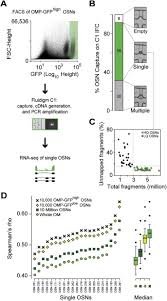 For example, after users log in to your org, they can automatically access all apps from the app launcher. Hierarchical Deconstruction Of Mouse Olfactory Sensory Neurons From Whole Mucosa To Single Cell Rna Seq Scientific Reports