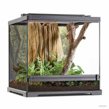 Image result for Terrarium Cling Background