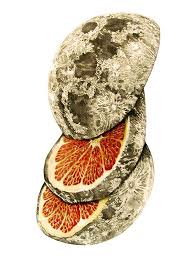 In Which There Is A Mandarin In The Moon By James Ormiston Via Behance Fruit Art Print Art Psychedelic Art