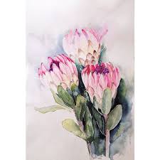 Protea In Watercolor On Behance Protea Art Flower Painting Art