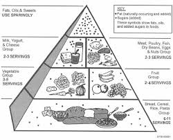 New Printable Food Guide Pyramid 9jasports