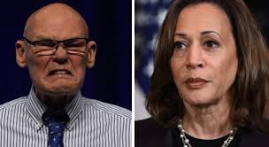 Democrat strategist criticizes party critic