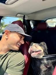 How do dogs not dye within days if they have leaky gut and bile leaking  into there body cavity? And if stuff is leaking out how does a simple food  change fix