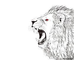 最高の壁紙 50歳以上 ライオン イラスト 白黒 ライオン イラスト 似顔絵 かわいい ライオン 動物