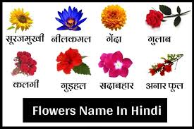 Maybe you would like to learn more about one of these? 199 à¤« à¤² à¤• à¤¨ à¤® à¤¹ à¤¦ à¤® Flowers Name In Hindi English 2021