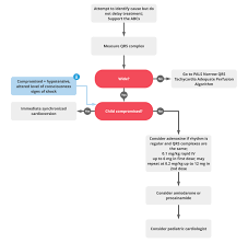 Once again, their recommendations provide. Pals Tachycardia Poor Perfusion Algorithm Acls Medical Training