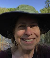 THE VERDE RIVER, ONE OF THE LAST PERENNIAL SOUTHWESTERN RIVERS, IS IN  DANGER OF RUNNING DRY. YOU CAN HELP SAVE IT.