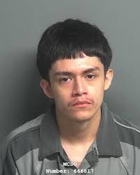 CHAVEZ FIRST NAME: EMMANUEL MIDDLE NAME: FEDERICO AGE: 17 RACE: L NAME  NUMBER: 666817 ADDRESS: TANNER TRAIL N CITY: PORTER STATE: TX ZIP: 77365  ARREST DATE/TIME: 01:43:47 11/02/25 ARREST TYPE: INSTANTER ARREST