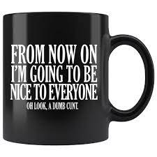 Amazon.com: From Now On I'm Going To Be Nice To Everyone Dumb Cunt Mug  Funny Offensive Rude Crude Coffee Cup : Home & Kitchen