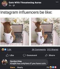 A way of describing cultural information being shared. Khajit Has Onlyfans Khajiit Khajiit Has Wares Know Your Meme