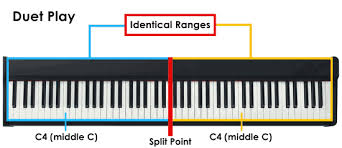 ÐšÐ°ÑÑ'ÐÐ½ÐºÐ Ð¿Ð¾ Ð·Ð°Ð¿ÑÐ¾ÑÑƒ Ð ÐµÐ¶ÐÐ¼ DUET MODE Casio PX-870