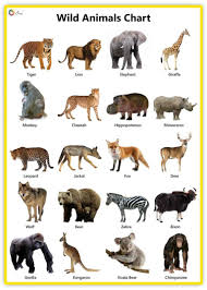 Wild Animals Facts In 2020 Animal Pictures For Kids Wild Animals Pictures Wild Animals Photography