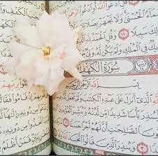 pin on the holy divine book al quran