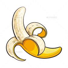 One Open Peeled Ripe Banana Sketch Style Vector Illustration Isolated On White Background Realistic Hand Drawing Of Ban Banana Sketch Banana Art Ripe Banana